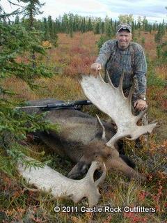 Alaska moose